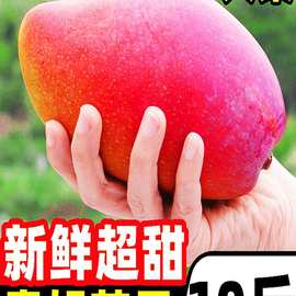 海南贵妃芒芒果10斤大果新鲜水果当季树上熟金青煌仙甜心台芒整箱