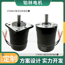 늙C3000Dֱ57oˢ늙Cֱ{D늄әC