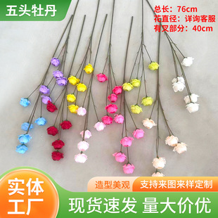 5�^ĵ�� ���滨��c�廨�b���ܽ�ز軨��÷õ��Ҿ��b�