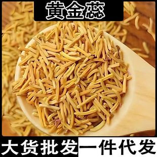 �S���� ���� ĵ������ �S����� ����� ��ș��������l���l