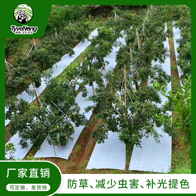 生态防草布除草农用幼树幼苗防草透气保湿保肥环保可降解厂家直销