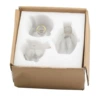Transparent white set, pack pearl, 3 piece set