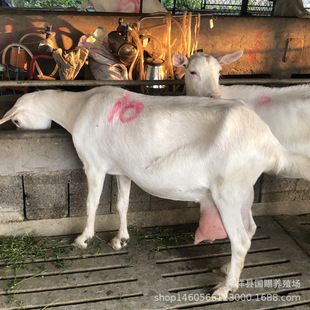 �������uɯ����ɽ��� �Bֳ�����ۻ��w��ɽ�� �ծa��10�����ĸ��