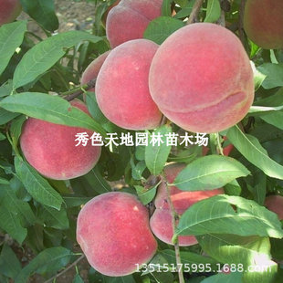 �����ž��Ҙ���޽ӻ����ϱ����ļ�ͥԺ�����ش��̨���Ԯ���Y��