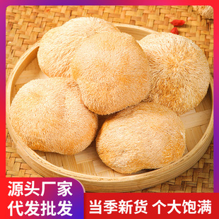 һ�����l��؛���^����؛����o����^Ģ��ʳ�þ����Ҝ�ʳ�����l