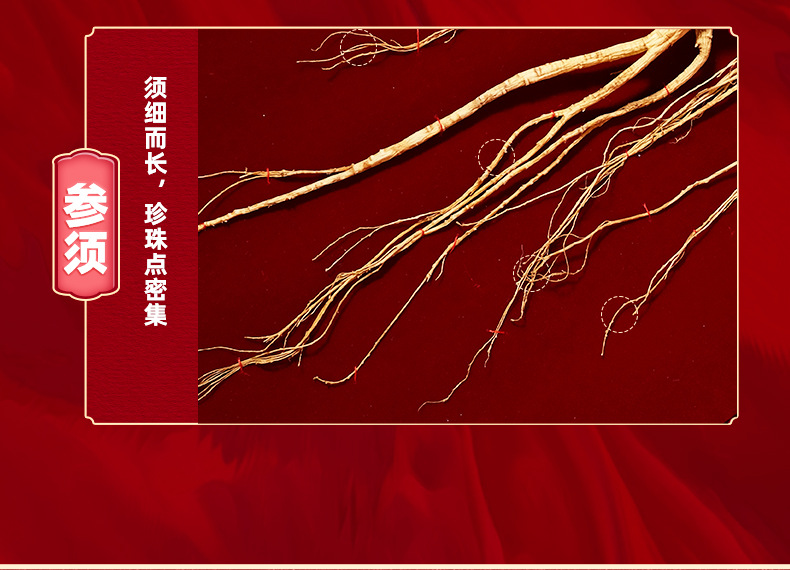 Changbai Mountain Wild Forest Ginseng Root Dried Whole Root for Traditional Herbal Decoction and Gift Box specifications