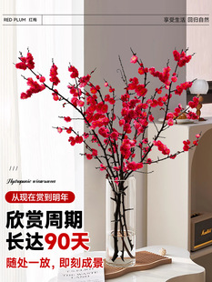 �t÷��֦ˮ���滨�r֦ѩ���������D÷�r�л���ֲ���҃��һ�֦�͏d