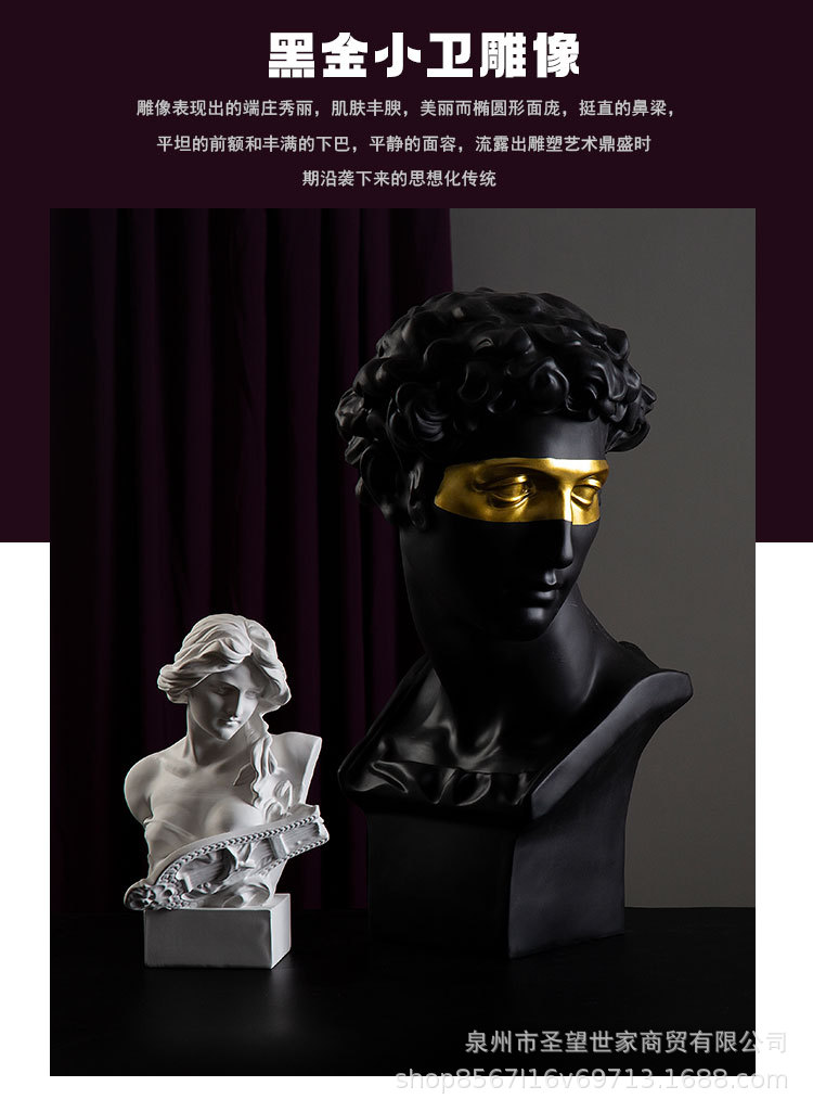 黑金小卫_02.jpg