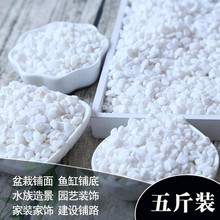 铺面石多肉雨花石景区白色盆栽小石头工程花卉碎石铺地米粒装饰