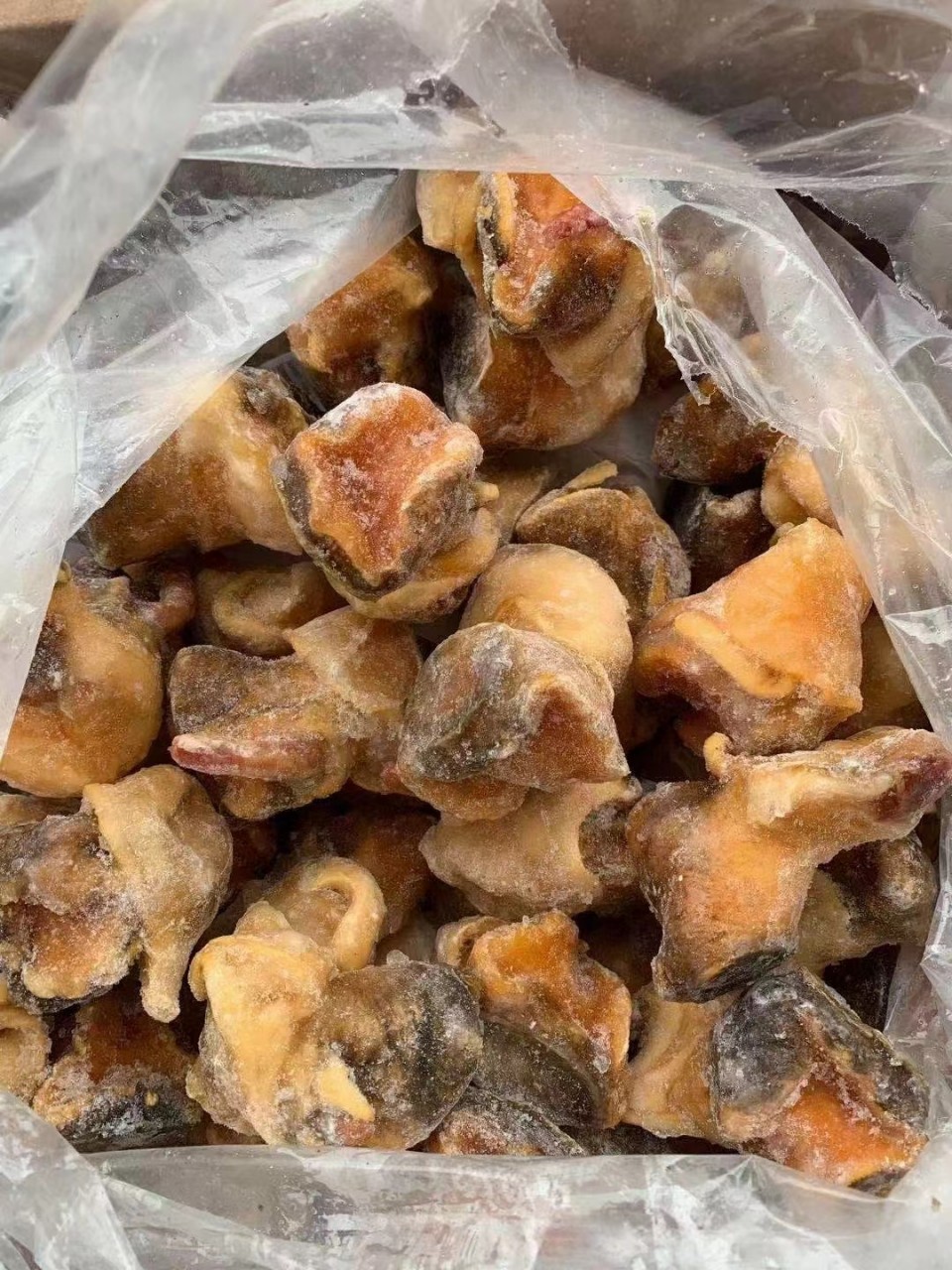 美国响螺头海螺头单冻黄螺头冻海螺肉煲汤多种规格 4.5kg*4包/箱