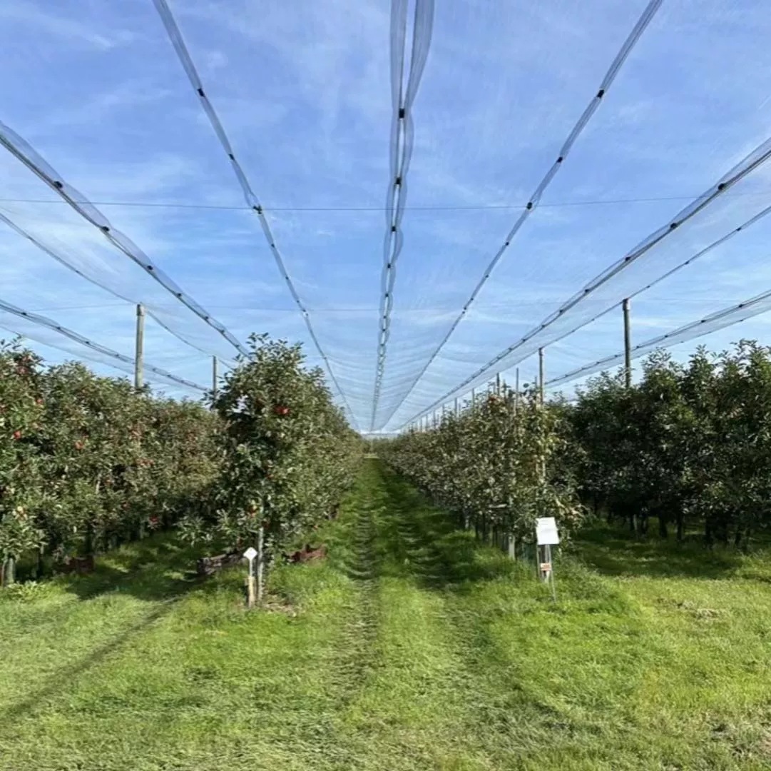 lQDPKHJ9mAA1fdXNBDjNBDmwBdQAZO