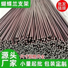 蝴蝶兰花支架兰夹子支撑杆植物爬藤花卉弯曲固定专用铁丝支架园艺