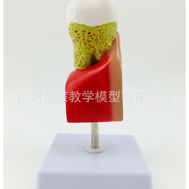 ����ģ�� ���ݲ��ۺϲ���ģ�� ���ݽ�������ģ�� ���� ҽ����ͨ