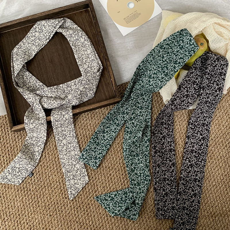Pañuelo de seda, tira larga, sentido de alta gama, sentido de la atmósfera coreana, bufanda estrecha, bufanda, diadema, cinta, bolsa, cinta