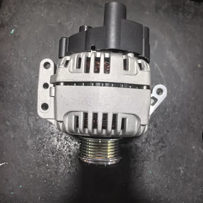 1-3048-25W 22795N – Generatorlar hissələri (Dinamo və detalları)