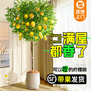 ˮʘ҃mϷ̨ľGֲʳúB