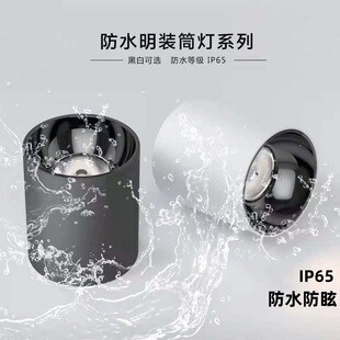 IP65 Waterproof Overmount Downlight Corridor Balcony Canopy Bathroom Outdoor Waterproof Ceiling Overmount Spotlight Railway Station
