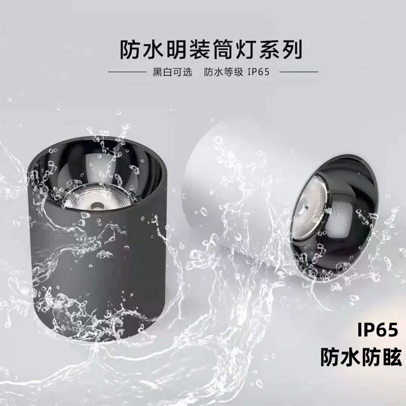 IP65防水明装筒灯走廊阳台雨棚浴室户外防水吸顶式明装射灯火车站