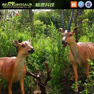 ����䓷������Сë�H���ܑ���@�־��^����СƷ���@�r���b[��
