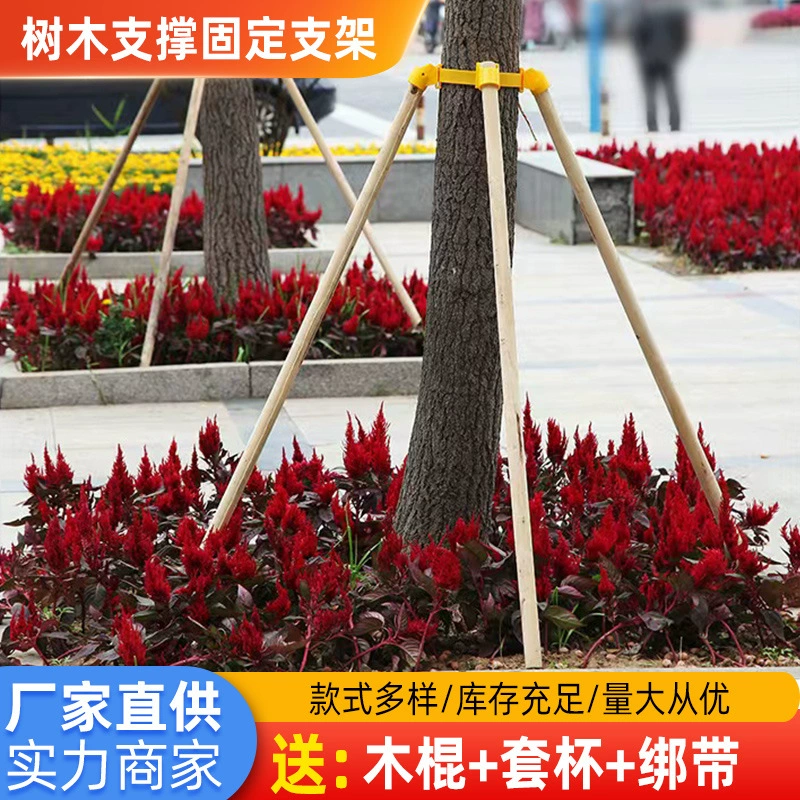 Деревья опоры держатель из цельного дерева опорный стержень сосновый тополь деревянный зеленый проект ветроустойчивый опорный стержень