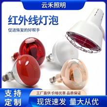 红外线加热灯泡美容院美肤灯人体烤灯家用防水防爆275W