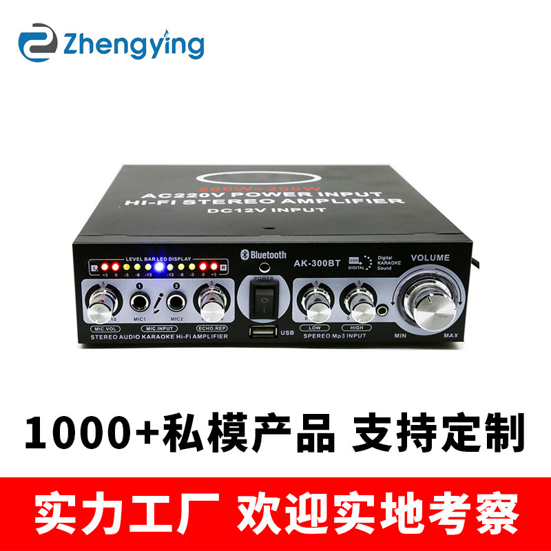 AK-300が国境を越えて人気のある大電力bluetooth機能再生機家庭用ktvオーディオスピーカー機能再生機|undefined