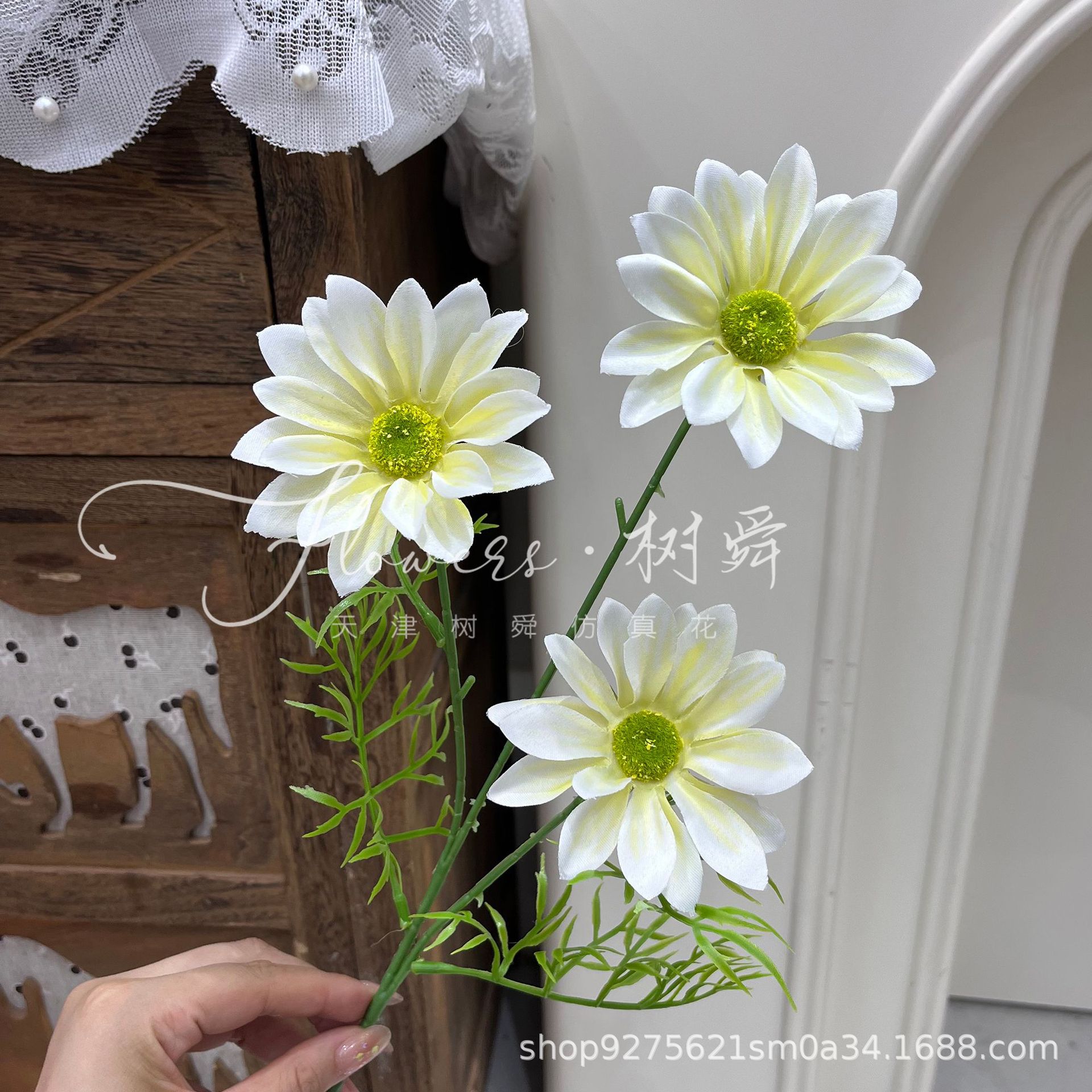 Crisantemo blanco de verano modelo 3d