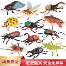 �������xģ�̈́����������N���s���x���x�׃��@�J֪�ƽ̔[��