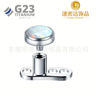 ��ƷG23⁺Ͻ��Ʒ���w����F136��ʯ���ᔏS��ֱ���lDIY
