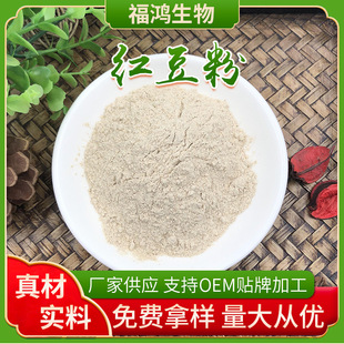 �t���� �������l���� �t���� �t�����ɢ�b �tС���� ��С����
