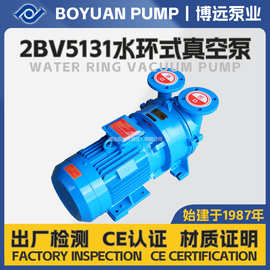 2BV5131水环式真空泵11kW工业级抽气负压泵304机封按需选型可贴牌
