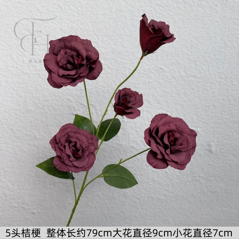 5 Platycodon grandiflorum