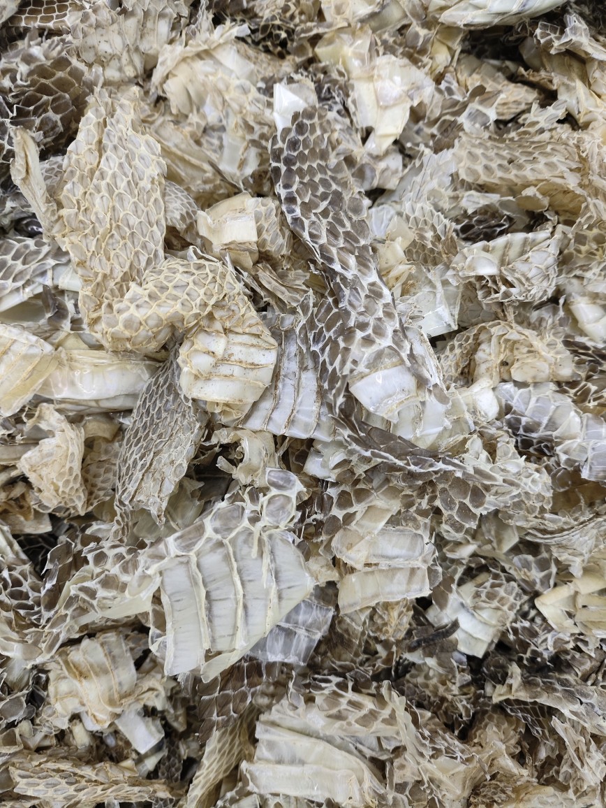 She Tui (Snake Slough) — Dried Shed Snake Skin, Traditional Chinese Herb, 500g in use