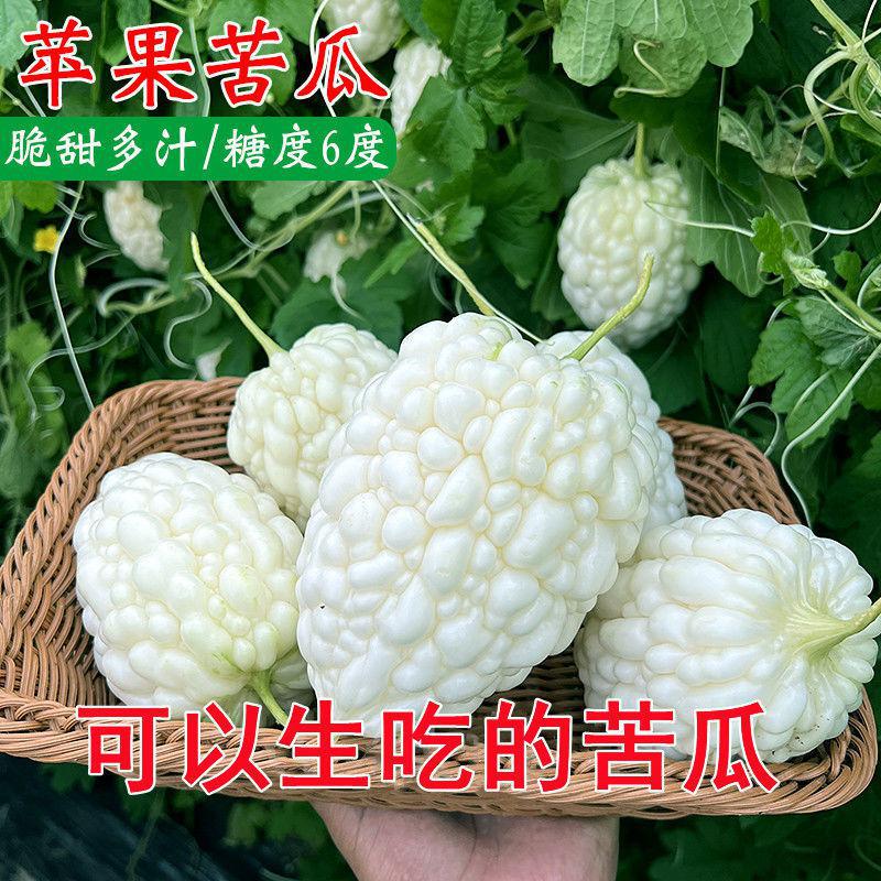 【易生长苹果苦瓜种子】高产水果苦瓜种子台湾苹果苦瓜种非种球
