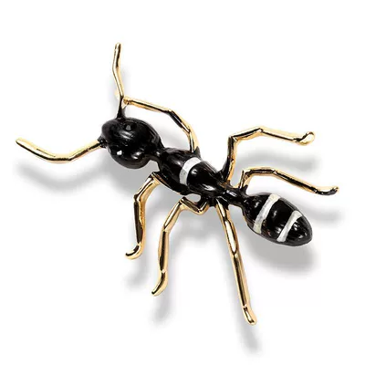 Personalized Stripesd Enamel Big Ant Brooch European and American Insect Pin Elegant Versatile Men's and Women's Clothing Accessories Buckle