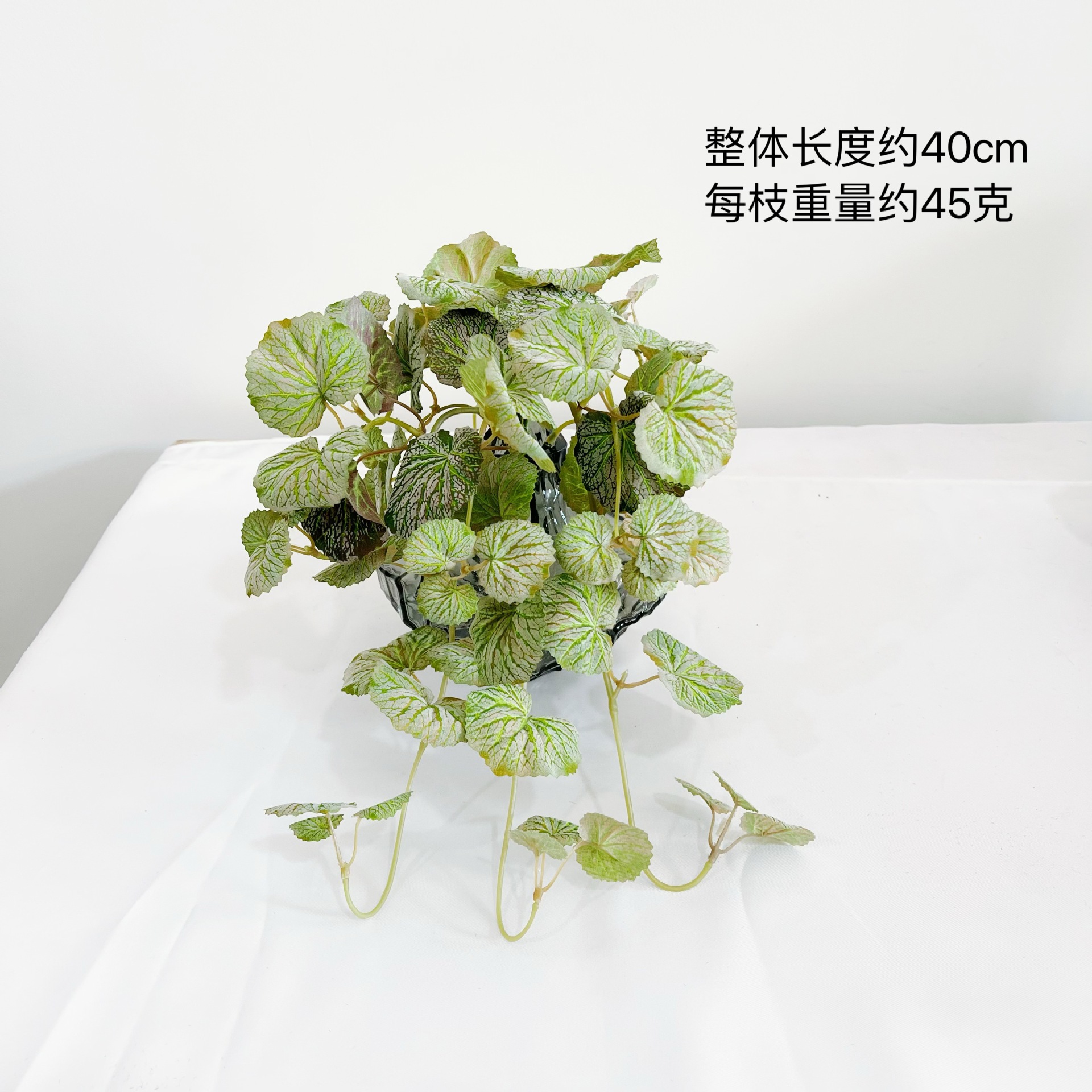 40cm 베고니아 벽걸이 [모발이식 가을그린]