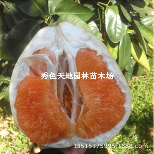 ���������ϱ���ͥԺ�������ش���������Լ޽������箔��Y����