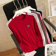 ������ʽ�͹����l���L��t��Ů�ļ��OӋ��С�����؄e�������̿���