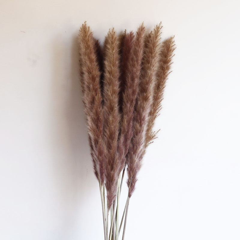 Flor seca Flor eterna Gypsophila Bola de oro No me olvides Flor seca Rosa hoja de eucalipto Pine Fruit Lover Grass al por mayor