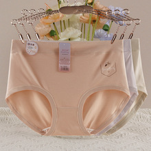 2025�¿���ܛ���m�H�w͸��10A�־��d����ѝŮʿ��������ӡ����ѝ