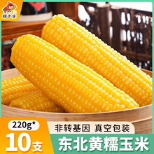 �|���SŴ���װ�10֧��؛����b�S���׬Fժ���r��������ճ�ּZ����