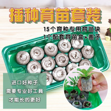 【土肥系列】进口肥料/叶面肥/水溶肥/进口营养土/育苗块套装