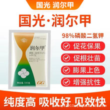 国光润尔甲 磷酸二氢钾≥98% 花肥 喷施浇灌补充营养促进开花果