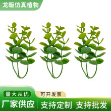 �����ȼ����~ ���Ϸ���ֲ��ˮ�ݱڒ��ٗlֲ��b�����S�����l