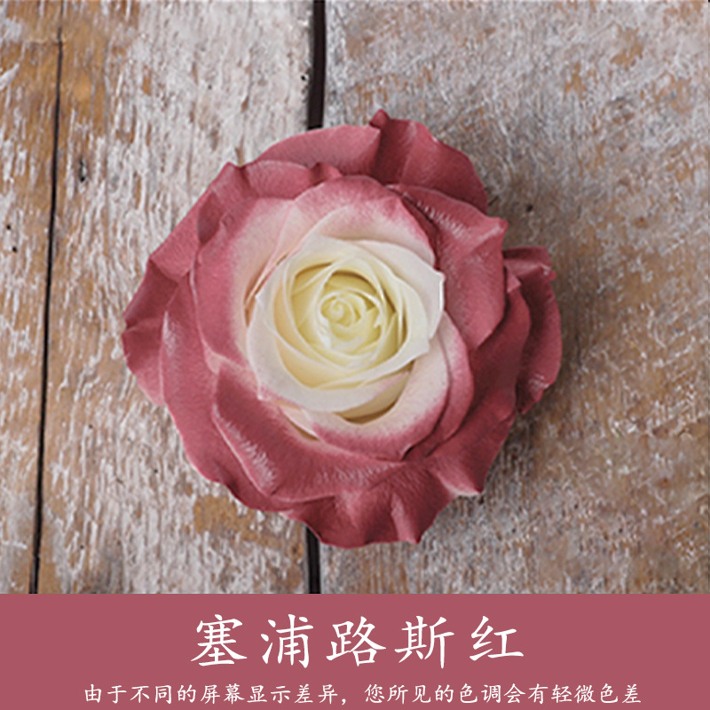 450ml agente de color de aerosol de flores al por mayor pintura en aerosol de secado rápido agente de teñido de rosas de color aerosol de color perlado floristería