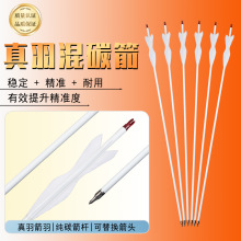 �F؛���l6.2�ȏ�7.8mm��̼����ɫ���U���`����̼�����y�����C��