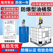 SB-3-1不锈钢防爆插桶泵SB-4隔爆型EX电动抽液泵手提式油桶抽油泵