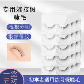 美睫新手学员初学者练习种植嫁接种植假睫毛教育培训专用练习睫毛
