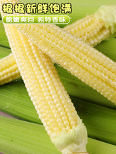 ���r�����׹S9������С����о���߲������װ�ˮ���������l���]10