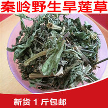 秦岭旱莲草 墨旱莲草500克?墨旱莲 墨旱莲